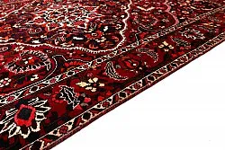 Orientalischer Teppich Hamedan 298 x 202 cm