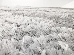Hochflorteppiche - Kanvas (grau)