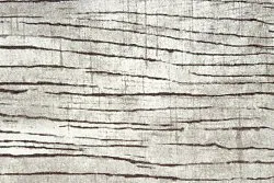 Wilton-Teppich - Uzla (grau)