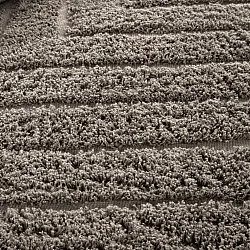 Hochflorteppiche - Conara Natural Cotton Shaggy (taupe)