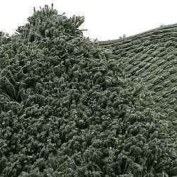 Rund Teppich - Combarro Solid Cotton Shaggy (grün)