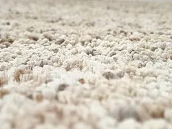 Hochflorteppiche - Carl (beige)