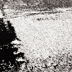 Wilton-Teppich - Nesvik (grau)
