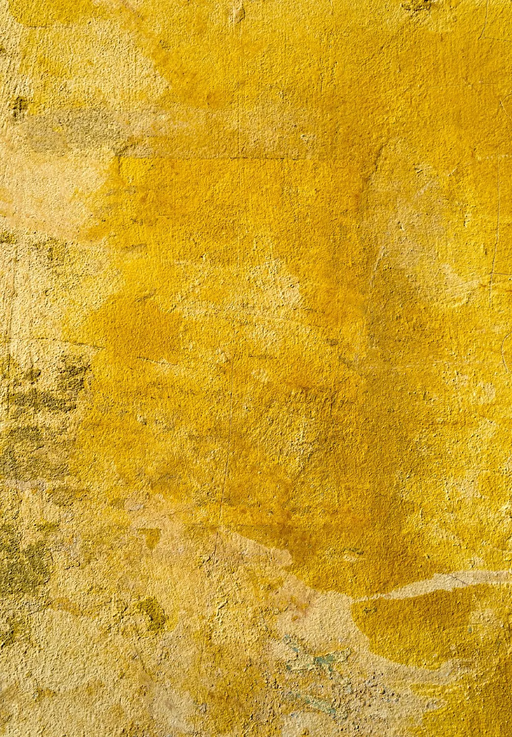 Wilton-Teppich - Arbus (gold)